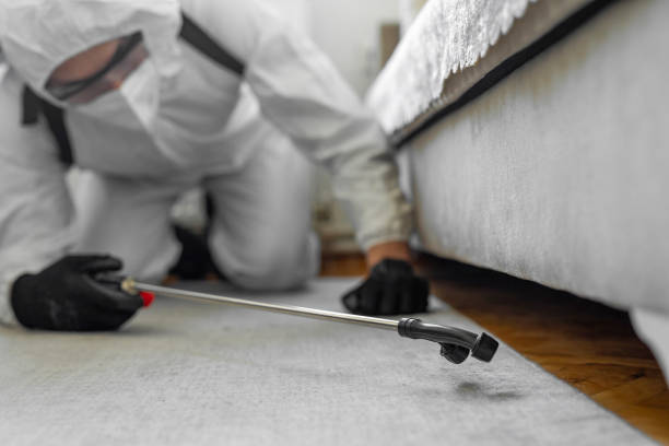 Professional Bed Bug Control technician working in Somerset County County, NJ